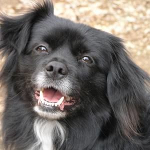 Meet your Posher, Vikki